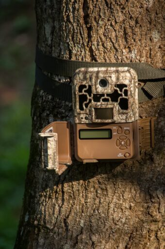 Is a Trail Camera Security Box Worth Buying?